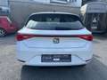 SEAT Leon Style Navi LMF Sitzheizung  ACC 1.Hand Weiß - thumbnail 6