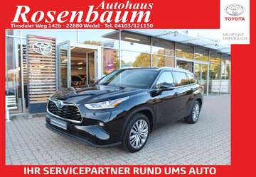 Hybrid Executive 4x4*7-SITZER*NAVI*1H
