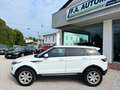 Land Rover Range Rover Evoque 2.2 TD4 5p. Prestige Automatica Wit - thumbnail 10