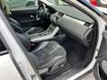 Land Rover Range Rover Evoque 2.2 TD4 5p. Prestige Automatica Wit - thumbnail 8
