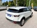 Land Rover Range Rover Evoque 2.2 TD4 5p. Prestige Automatica Wit - thumbnail 13