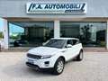 Land Rover Range Rover Evoque 2.2 TD4 5p. Prestige Automatica Wit - thumbnail 12