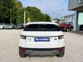 Land Rover Range Rover Evoque 2.2 TD4 5p. Prestige Automatica Wit - thumbnail 15
