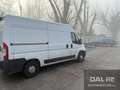 Fiat Ducato Ducato 35 2.3 MJT 130CV PLM-TM Furgone Blanc - thumbnail 9