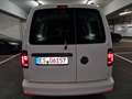Volkswagen Caddy Nfz Maxi Kombi DSG*Xenon*Navi*ACC*PDC*SHZ* Weiß - thumbnail 12