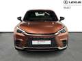 Lexus LBX Relax Marrón - thumbnail 7