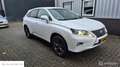 Lexus RX 450h 4WD Luxury Line, winterbanden, trekhaak Wit - thumbnail 3