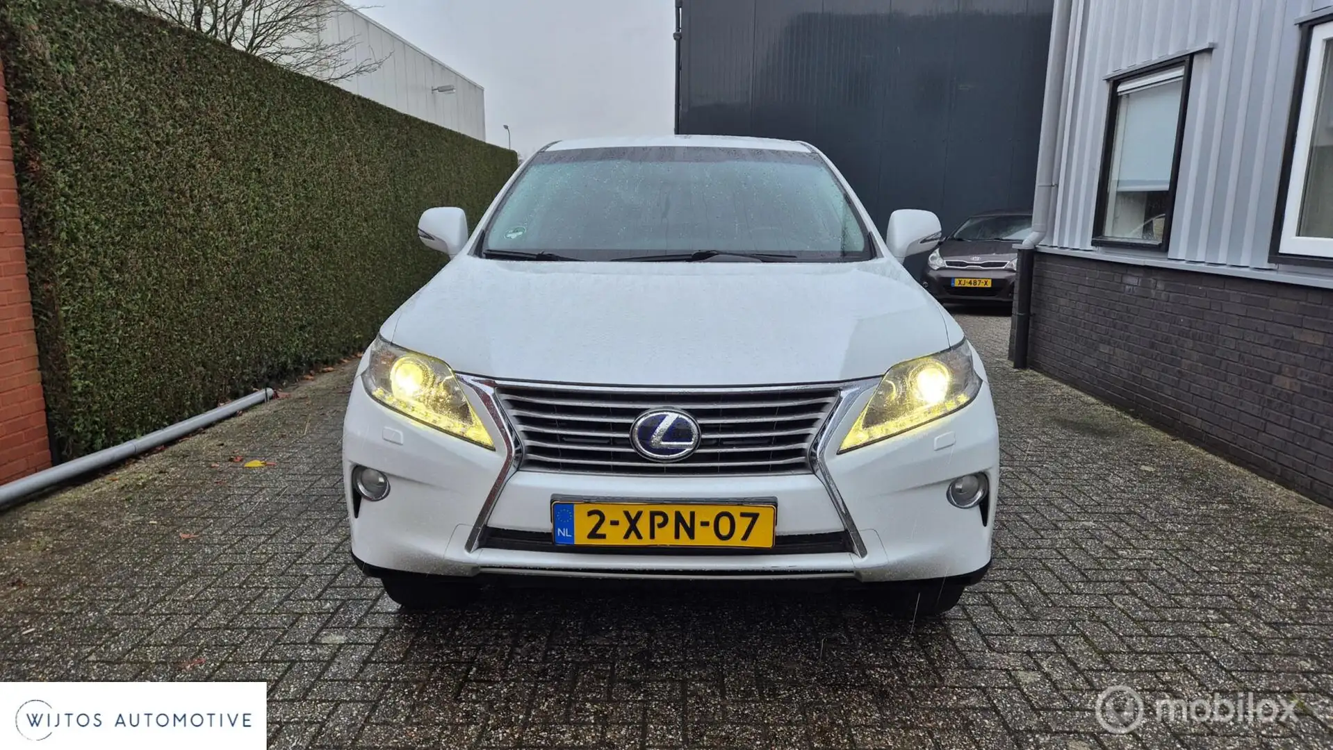 Lexus RX 450h 4WD Luxury Line, winterbanden, trekhaak Wit - 2