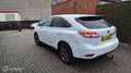 Lexus RX 450h 4WD Luxury Line, winterbanden, trekhaak Wit - thumbnail 6