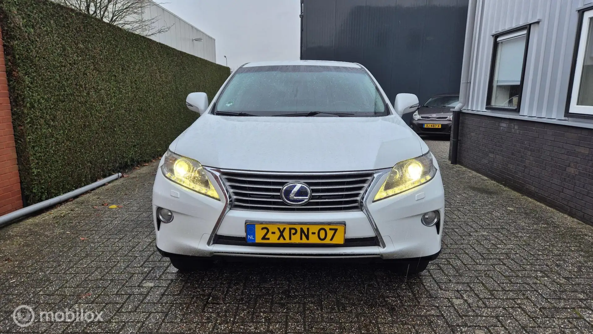 Lexus RX 450h 4WD Luxury Line, winterbanden, trekhaak Weiß - 2