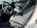 Ford Fiesta *TITANIUM*GPL*NEOPATENTATI Bianco - thumbnail 9