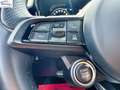 Alfa Romeo Tonale 1.6 diesel 130 CV TCT6 Sprint Weiß - thumbnail 15