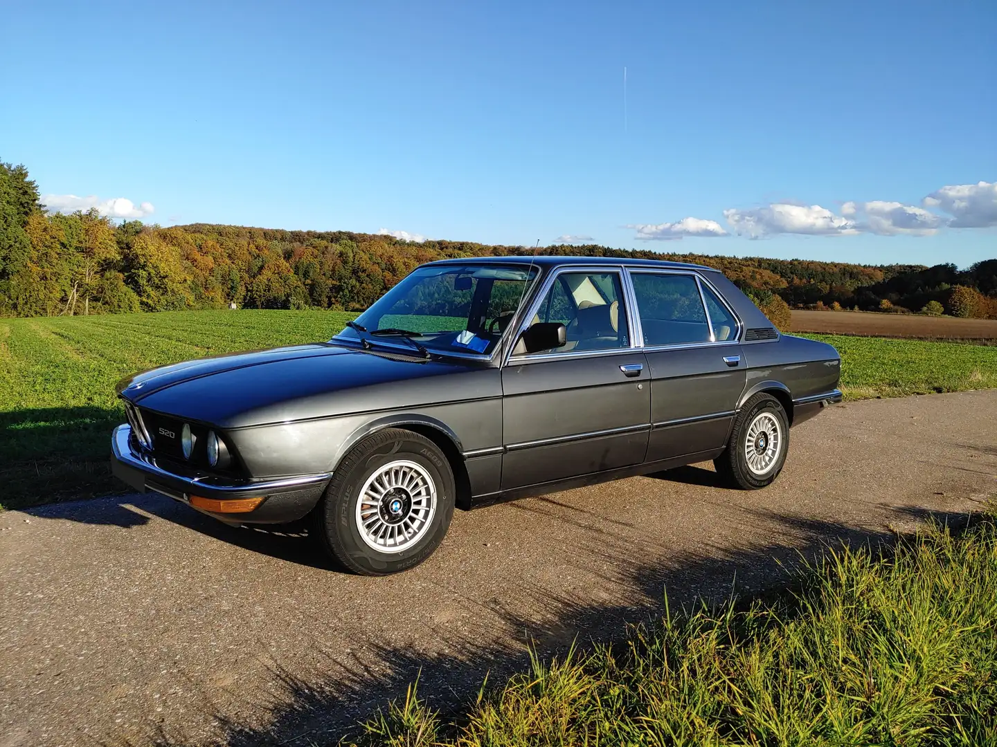 BMW 520 520/6 Grau - 1