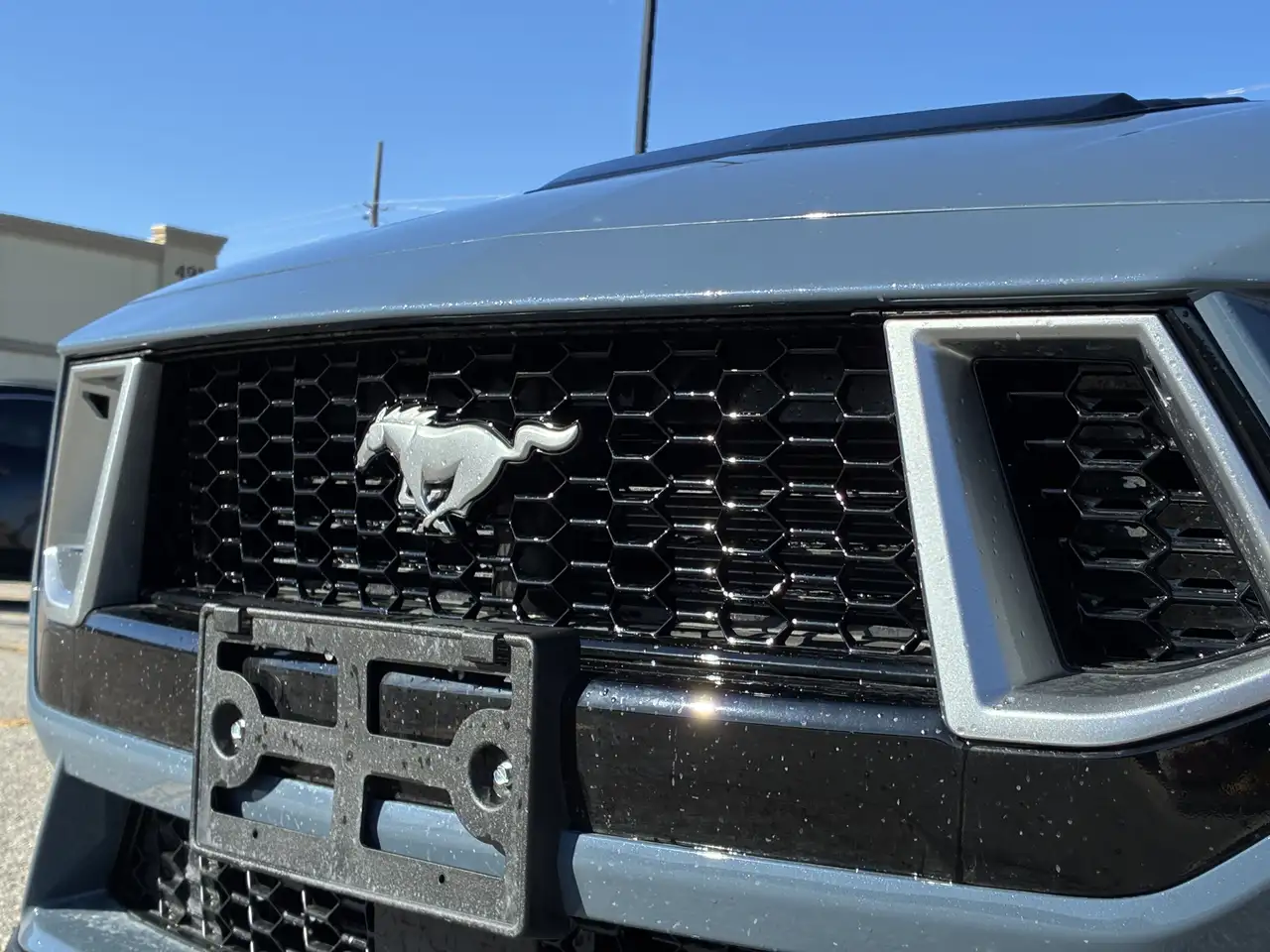 Ford Mustang снимка Ford Mustang