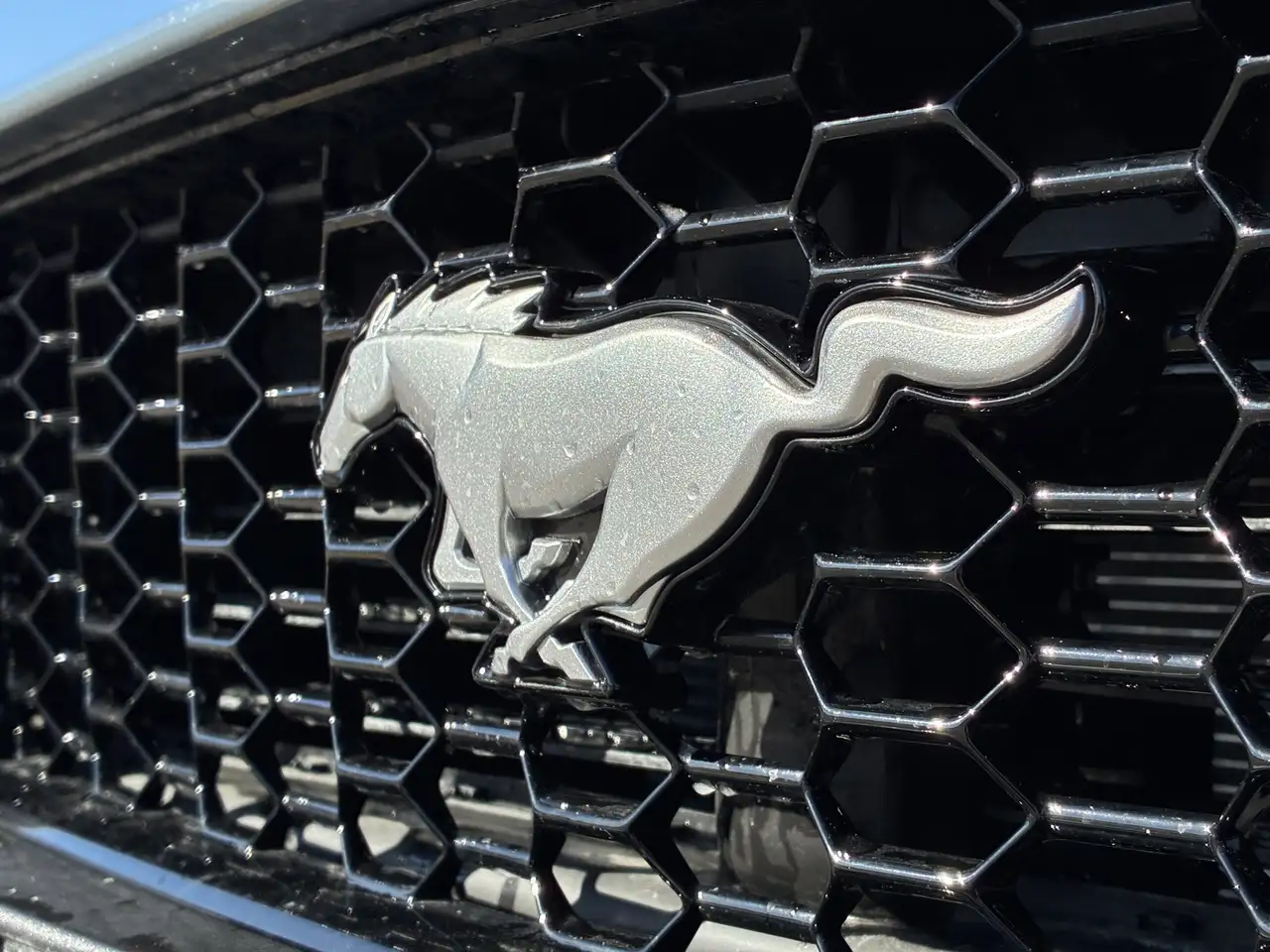 Ford Mustang снимка Ford Mustang