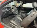 Ford Mustang 3.7 V6 Oro - thumbnail 19