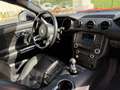 Ford Mustang 3.7 V6 Oro - thumbnail 24