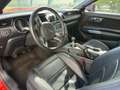 Ford Mustang 3.7 V6 Oro - thumbnail 21