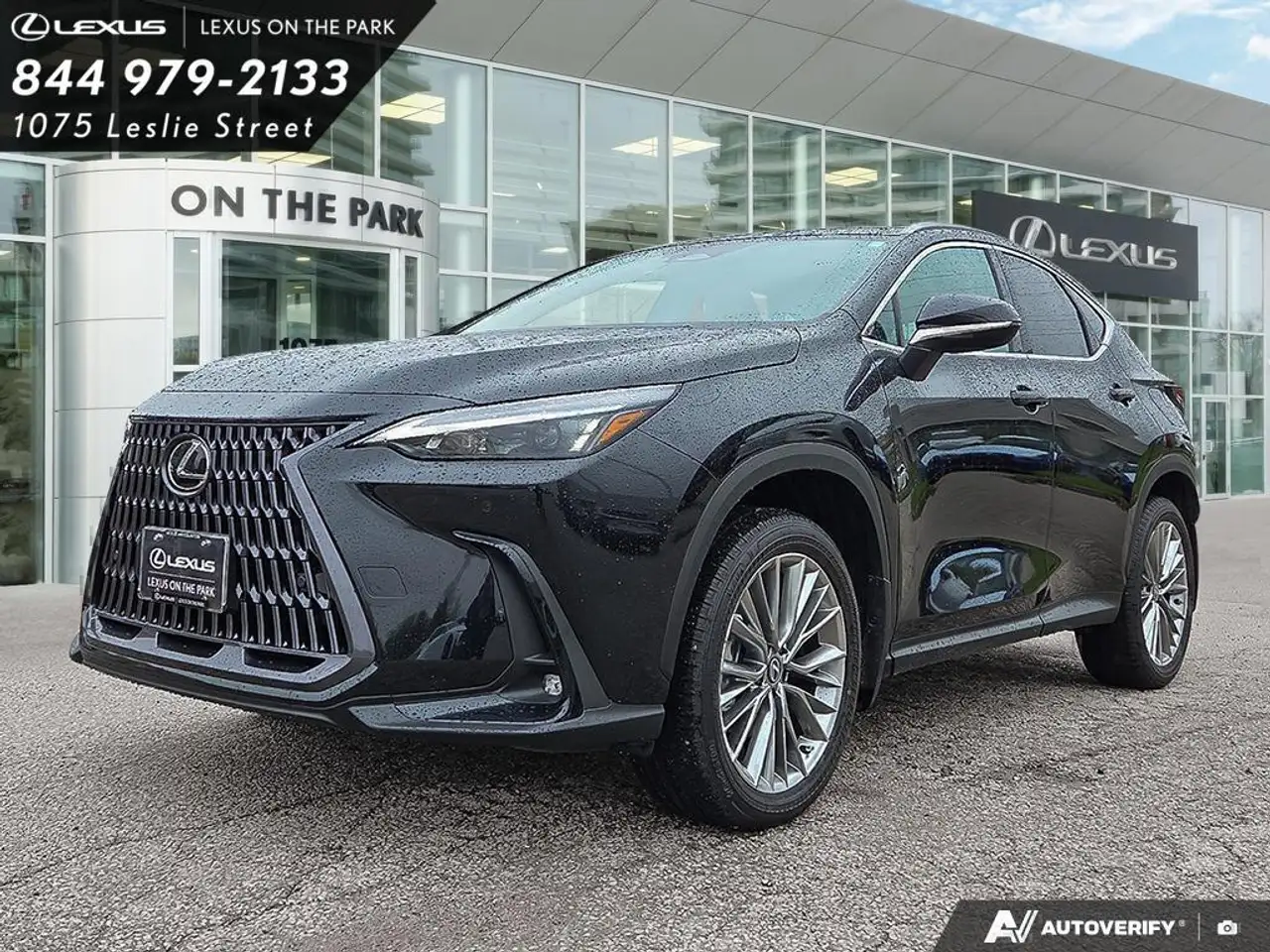 2026 Lexus NX