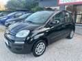 Fiat Panda 1.2 NEOPATENTATI GARANZIA Nero - thumbnail 3