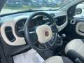 Fiat Panda 1.2 NEOPATENTATI GARANZIA Nero - thumbnail 8