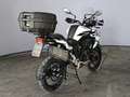 Benelli 502 abs E5 Bianco - thumbnail 3