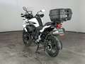 Benelli 502 abs E5 Bianco - thumbnail 6