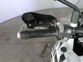 Benelli 502 abs E5 Bianco - thumbnail 7