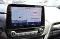 Ford Puma Hybrid ST-Line X LED PANO NAVI AHK Blau - thumbnail 15
