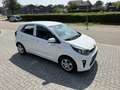 Kia Picanto 1.0 CVVT Titan | Cruise | Stoel+Stuurverwarming | Blanc - thumbnail 7