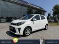 Kia Picanto 1.0 CVVT Titan | Cruise | Stoel+Stuurverwarming | Blanc - thumbnail 1