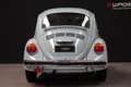 Volkswagen Käfer Beetle 1600i Ultima Edicion Azul - thumbnail 4