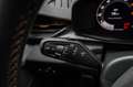 CUPRA Terramar 2,0 TSI DSG 4x4 VZ - LAGER 195 kW (265 PS), Aut... Grau - thumbnail 10