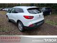 Renault Kadjar 1.6 TCe 165 Crossborder LM Navi BOSE LED Weiß - thumbnail 4