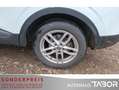Renault Kadjar 1.6 TCe 165 Crossborder LM Navi BOSE LED Weiß - thumbnail 11