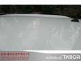 Renault Kadjar 1.6 TCe 165 Crossborder LM Navi BOSE LED Weiß - thumbnail 14