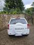 Suzuki Grand Vitara Grand Vitara II 2011 1.9 ddis offroad 5p E5 Biały - thumbnail 2