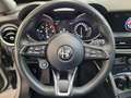 Alfa Romeo Stelvio 2.2 t Super Q4 TETTO PANORAMICO 190cv auto my19 Zilver - thumbnail 15