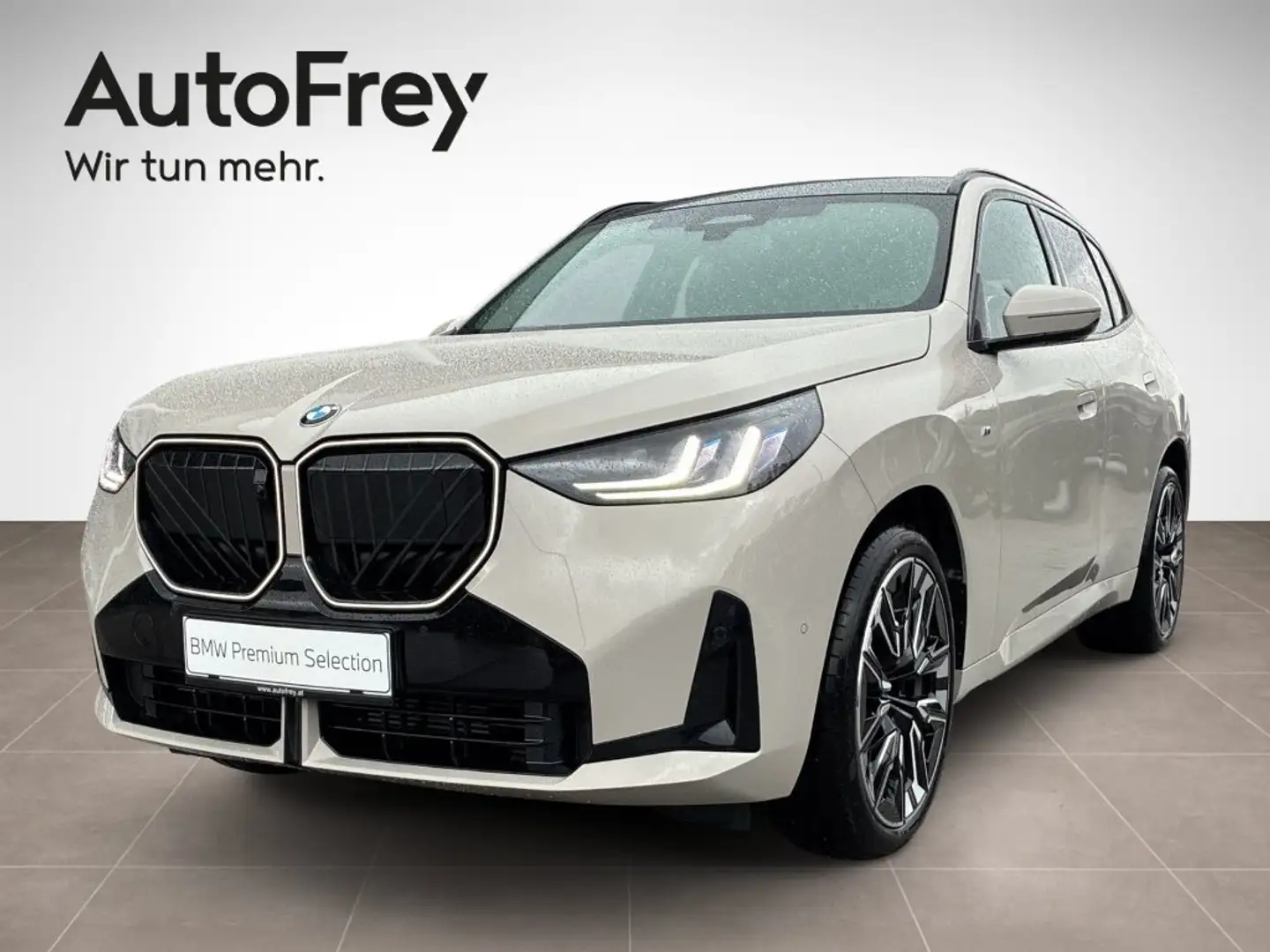 BMW X3 20d xDrive Grau - 1