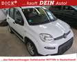 Fiat Panda City Life 1.0 DAB/PDC/LM-FELGE/MFL/8Fach Weiß - thumbnail 3