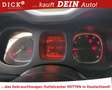 Fiat Panda City Life 1.0 DAB/PDC/LM-FELGE/MFL/8Fach Weiß - thumbnail 8