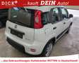 Fiat Panda City Life 1.0 DAB/PDC/LM-FELGE/MFL/8Fach Weiß - thumbnail 4