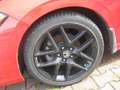 Honda Civic Civic 1.8 i-VTEC Automatik Executive Rot - thumbnail 15