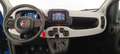 Fiat Panda 1.0 70cv Hybrid Panda Blu/Azzurro - thumbnail 9