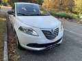 Lancia Ypsilon 1.2 8v Gold s&s 69cv E6 UNICOPROPRIETARIO Weiß - thumbnail 4