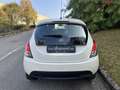 Lancia Ypsilon 1.2 8v Gold s&s 69cv E6 UNICOPROPRIETARIO Blanc - thumbnail 8