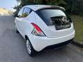 Lancia Ypsilon 1.2 8v Gold s&s 69cv E6 UNICOPROPRIETARIO Blanc - thumbnail 7