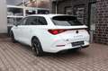CUPRA Leon Sportstourer AHK schwenk/ACC/LED/DSG/Kamera Weiß - thumbnail 37