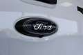 Ford Ranger Raptor 2.0 d Ecoblue 213 CV Double Cabina Bianco - thumbnail 9