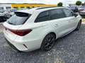 CUPRA Leon Sportstourer 1.5 eTSI DSG AHK ALCANTARA KEYLESS... Grau - thumbnail 6
